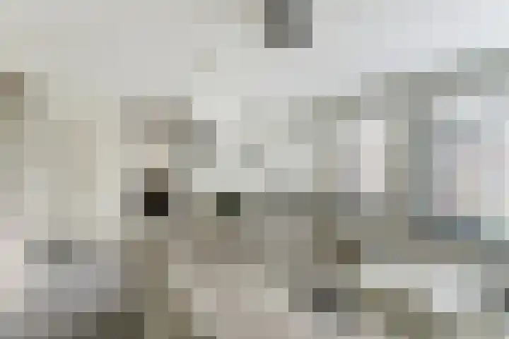 Zaagmolen 24 Wijk bij Duurstede thumbnail 4