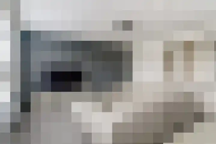 Zaagmolen 24 Wijk bij Duurstede thumbnail 5