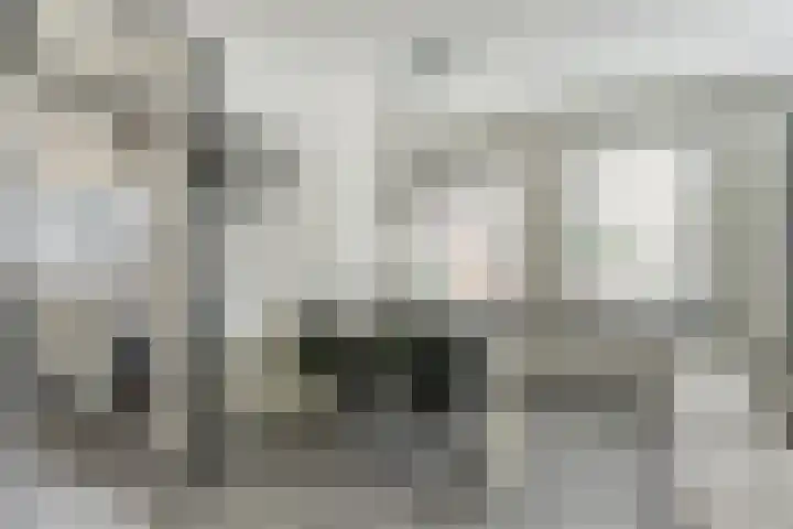 Zaagmolen 24 Wijk bij Duurstede thumbnail 6