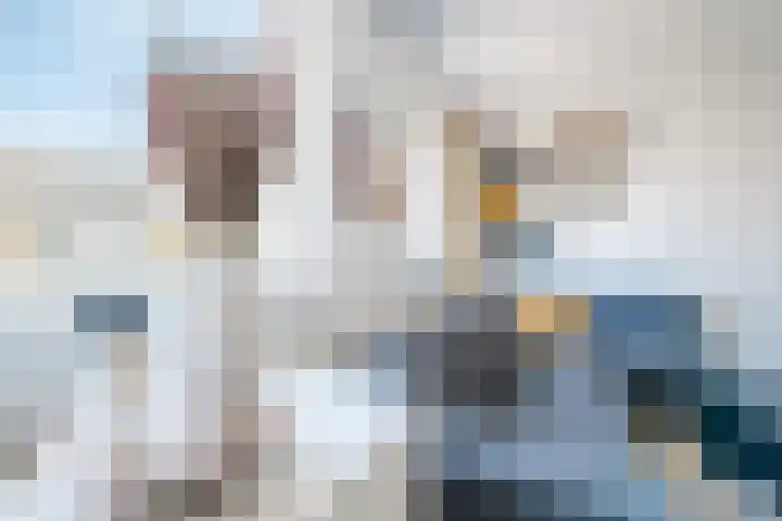 Zaagmolen 25 Assen thumbnail 14