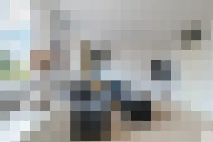 Zaagmolen 25 Assen thumbnail 15