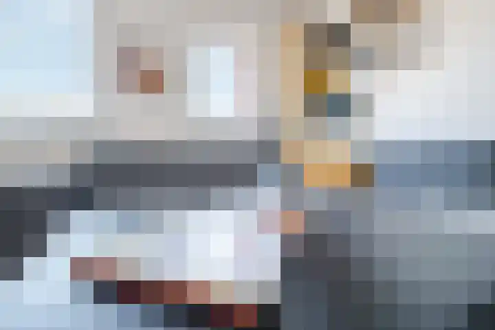 Zaagmolen 25 Assen thumbnail 16