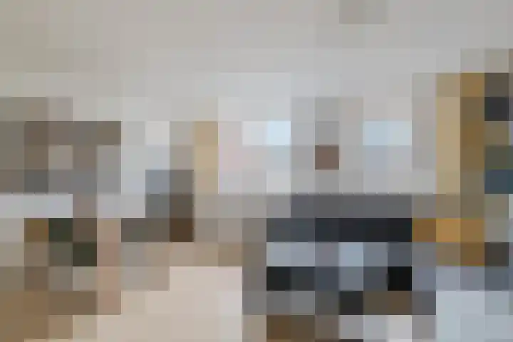 Zaagmolen 25 Assen thumbnail 17