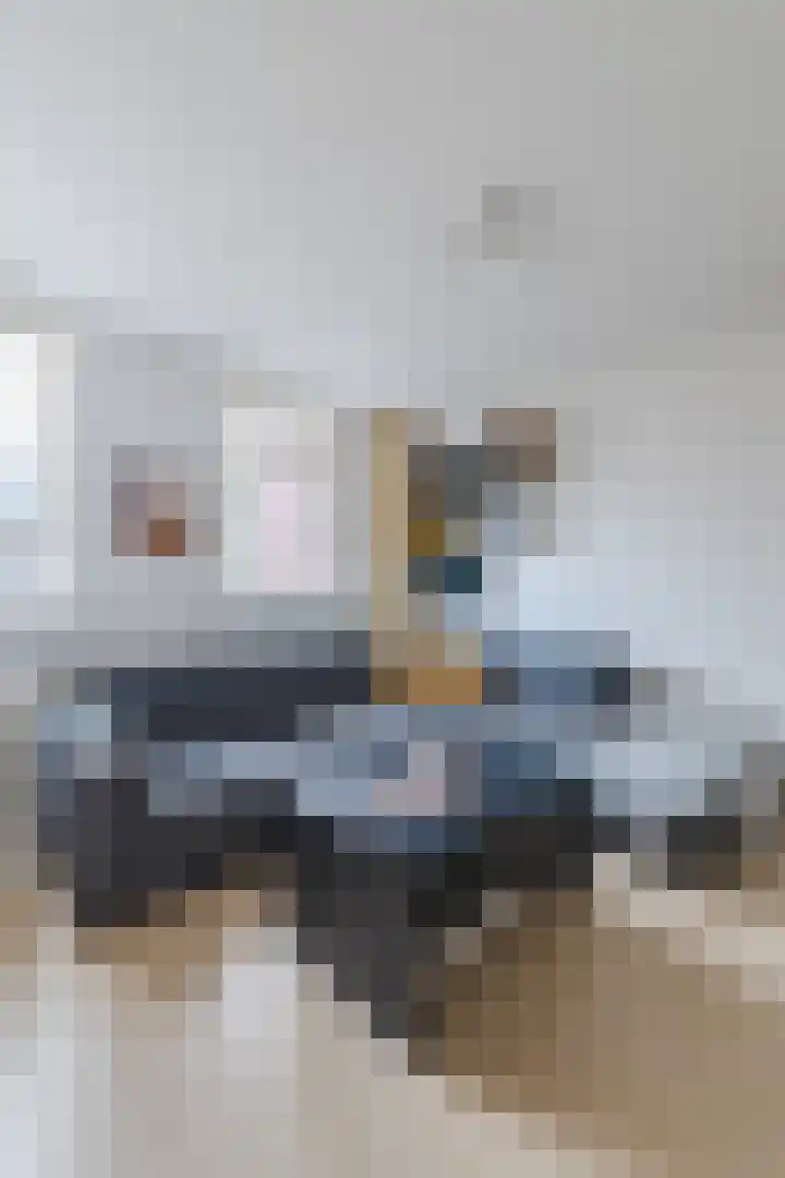 Zaagmolen 25 Assen thumbnail 18
