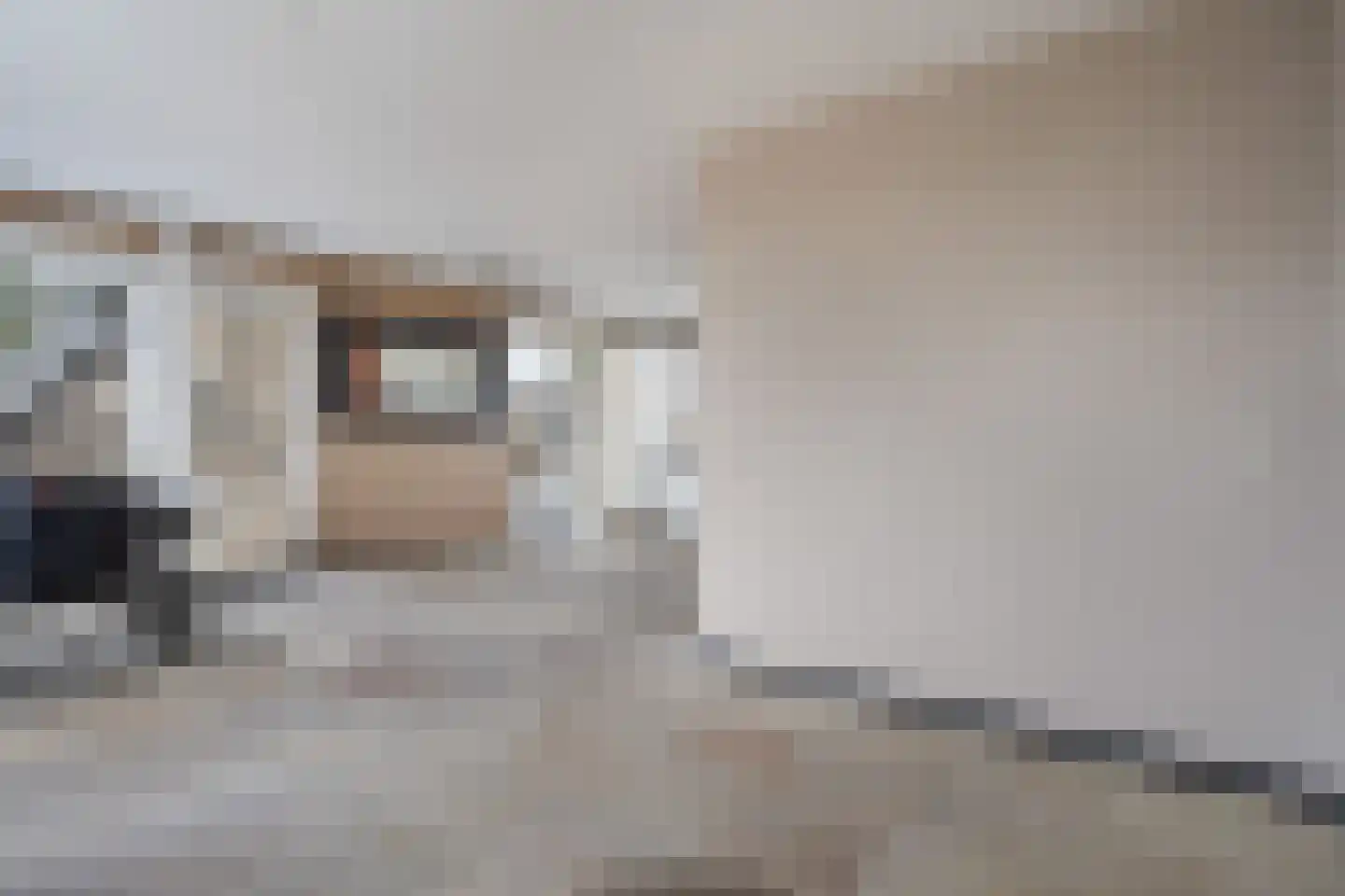 Zaagmolen 28 Wijk bij Duurstede thumbnail 10