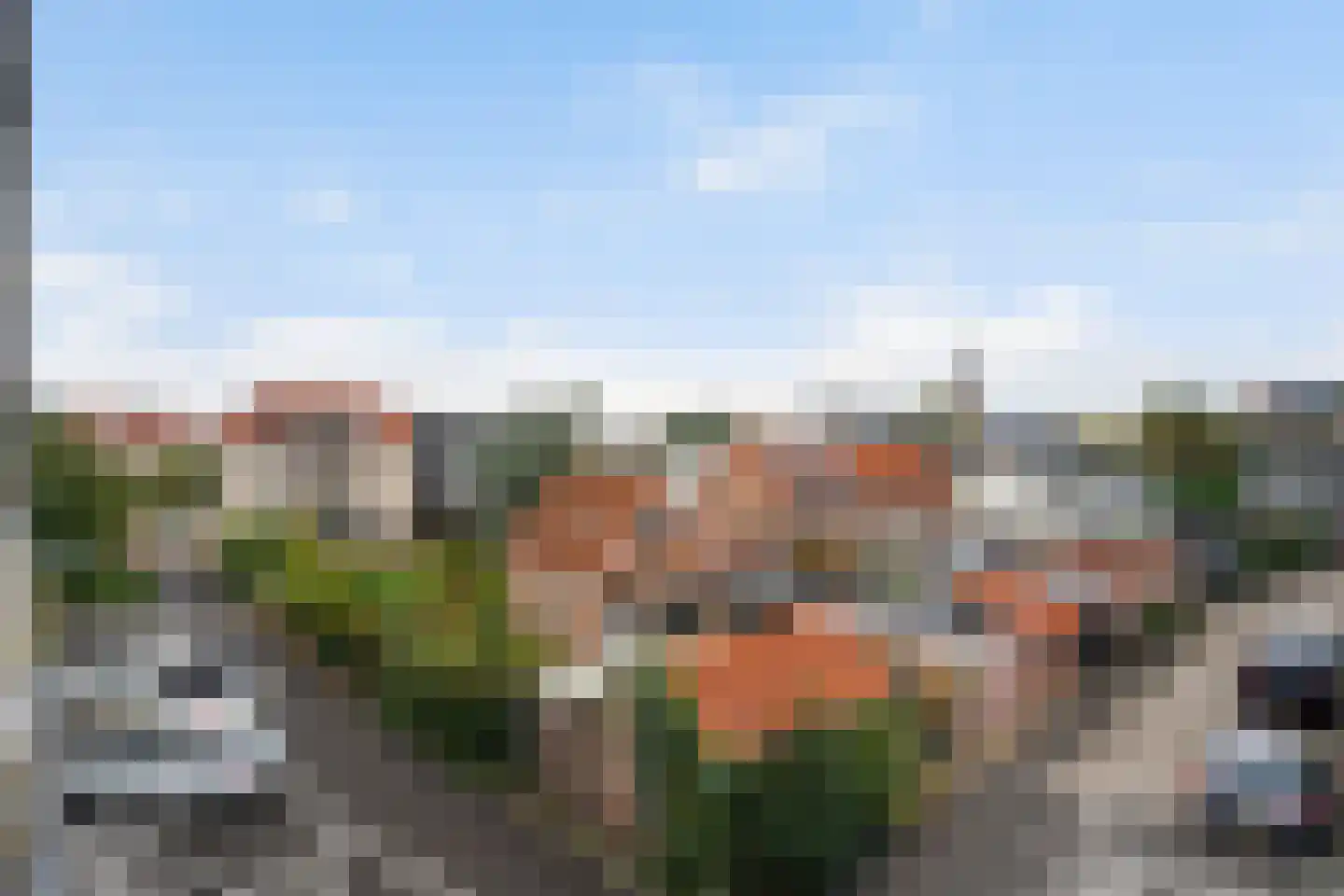 Zaagmolen 28 Wijk bij Duurstede thumbnail 24