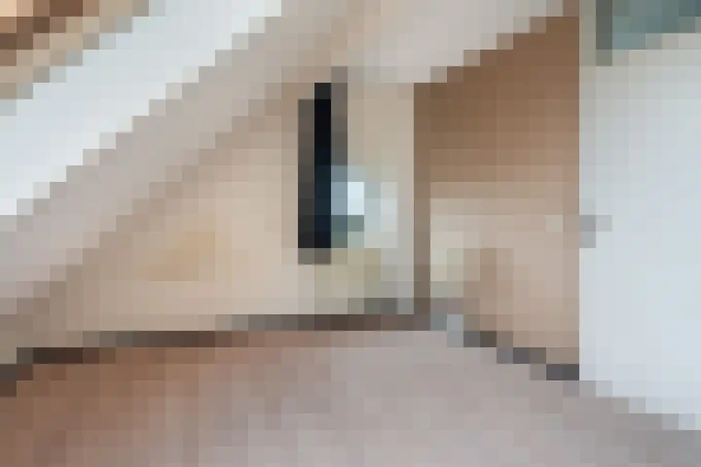 Zaagmolen 28 Wijk bij Duurstede thumbnail 32