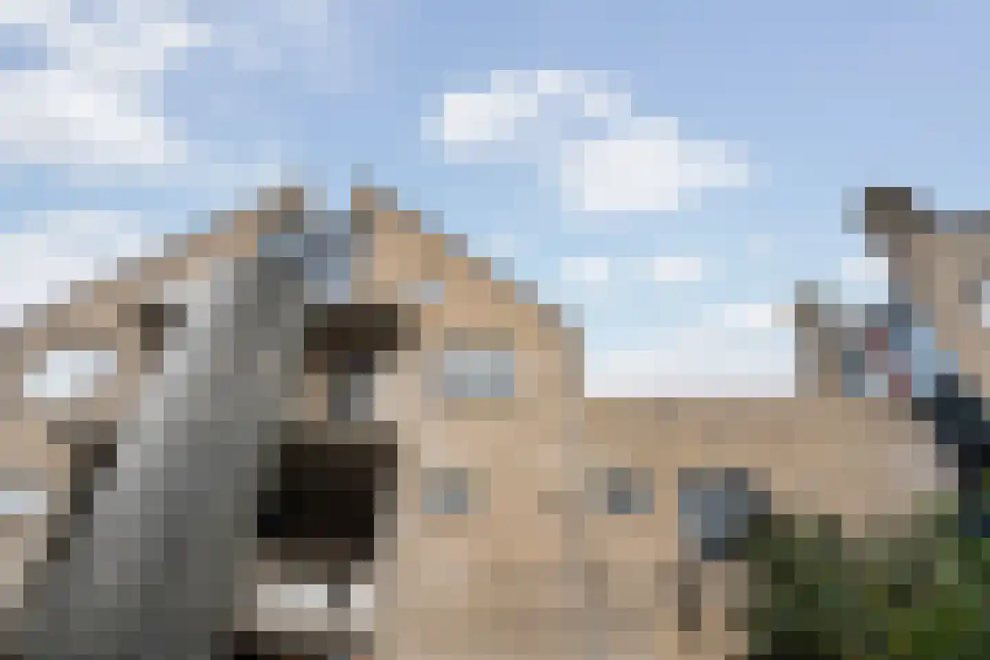 Zaagmolen 28 Wijk bij Duurstede thumbnail 42