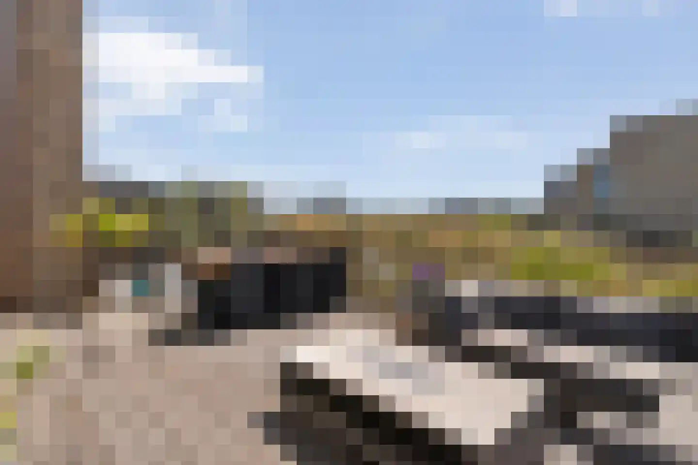 Zaagmolen 29 Zwolle thumbnail 15