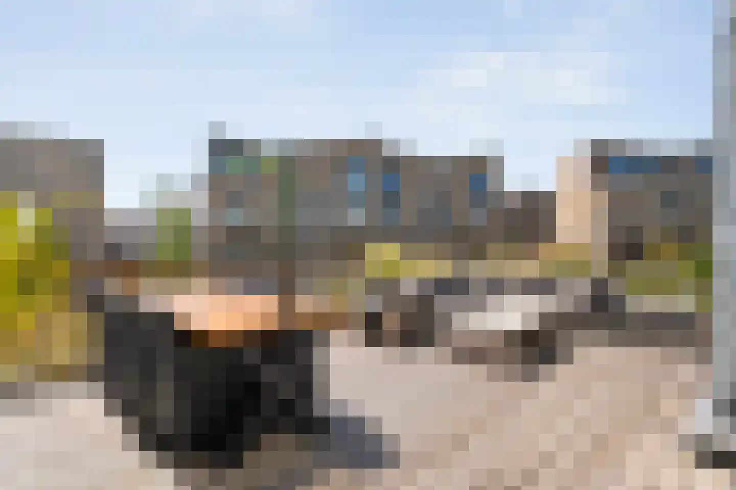 Zaagmolen 29 Zwolle thumbnail 16