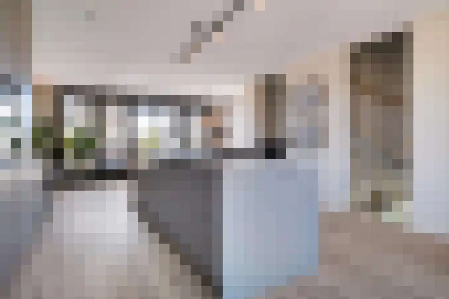 Zaagmolen 29 Zwolle thumbnail 17
