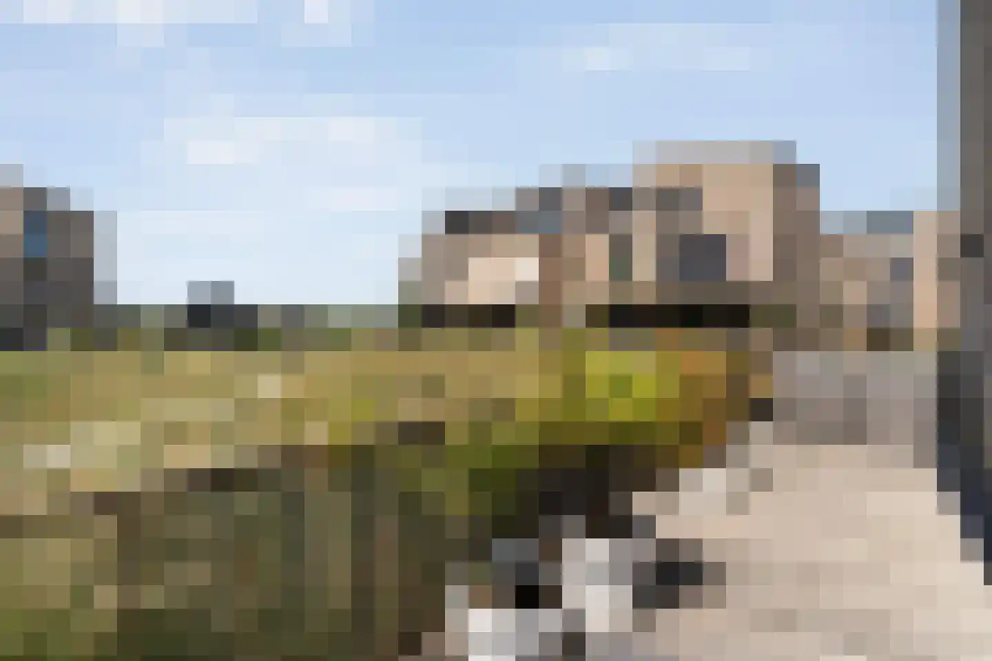 Zaagmolen 29 Zwolle thumbnail 19