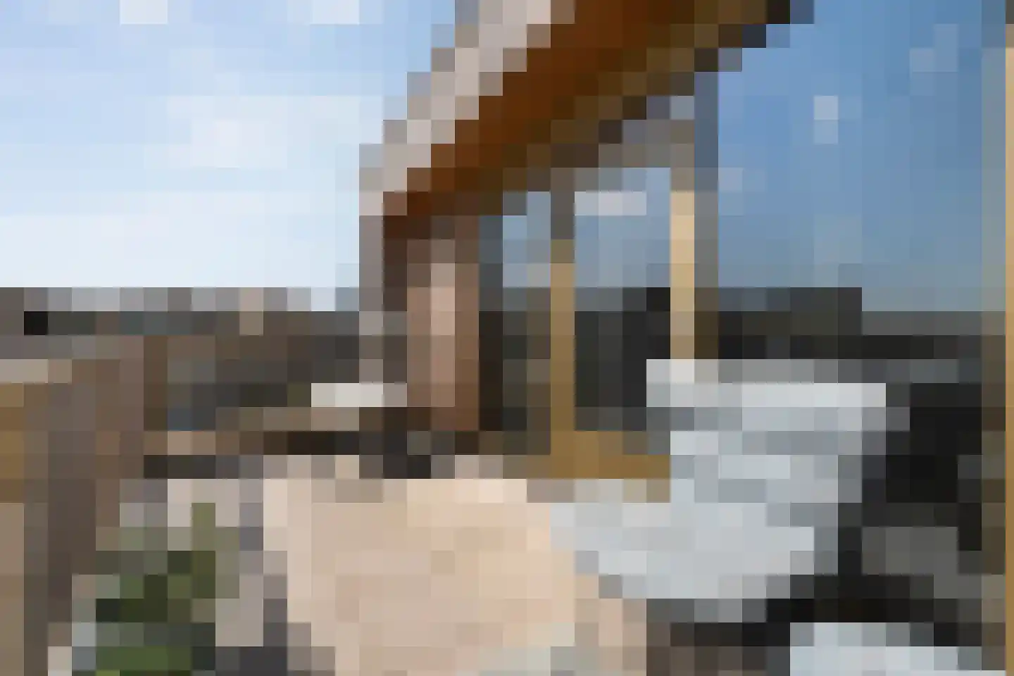 Zaagmolen 29 Zwolle thumbnail 39
