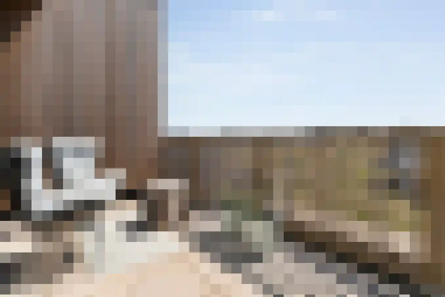 Zaagmolen 29 Zwolle thumbnail 40