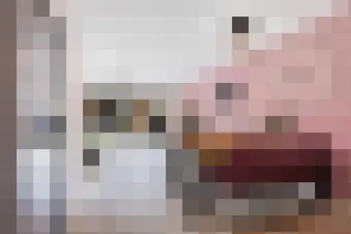 Zaagmolen 46 Capelle aan den IJssel thumbnail 13