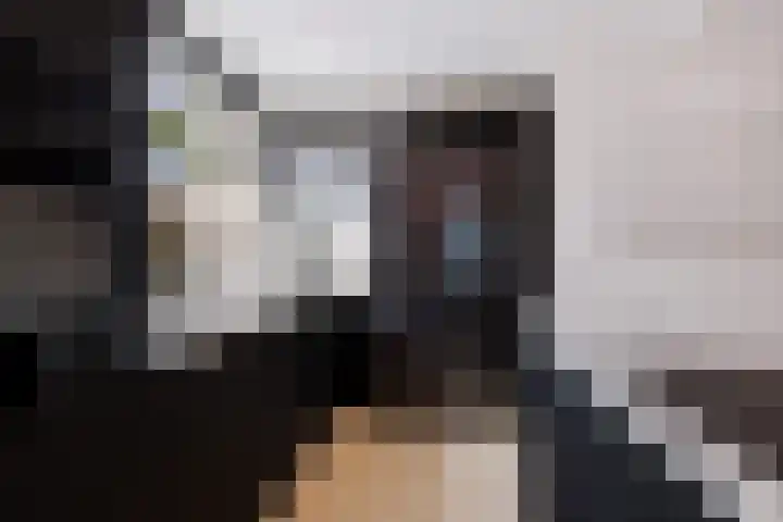 Zaagmolen 46 Capelle aan den IJssel thumbnail 18