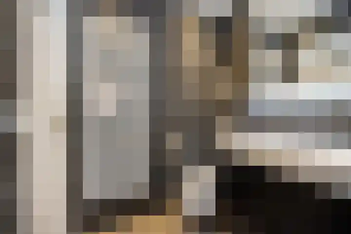 Zaagmolen 46 Capelle aan den IJssel thumbnail 30