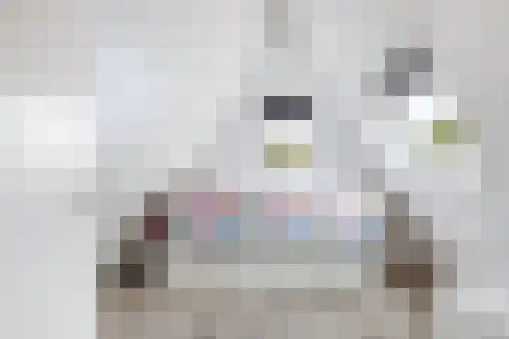 Zaagmolen 46 Capelle aan den IJssel thumbnail 35