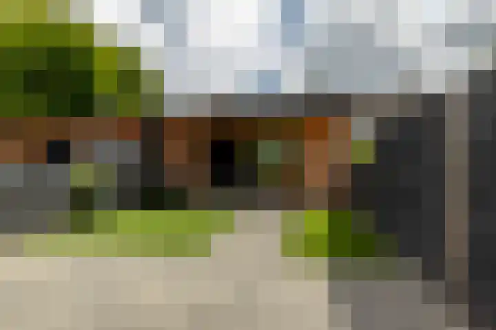 Zaagmolen 46 Capelle aan den IJssel thumbnail 38