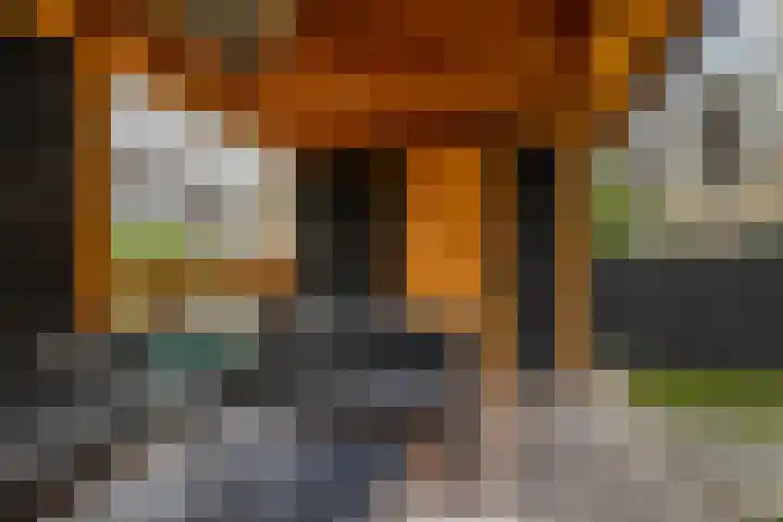 Zaagmolen 46 Capelle aan den IJssel thumbnail 41