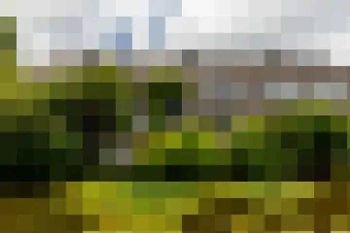 Zaagmolen 46 Capelle aan den IJssel thumbnail 44
