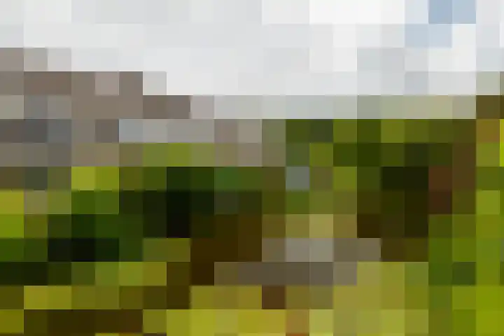 Zaagmolen 46 Capelle aan den IJssel thumbnail 45