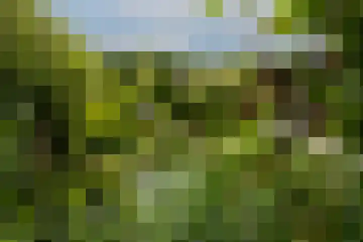 Zaagmolen 46 Capelle aan den IJssel thumbnail 46