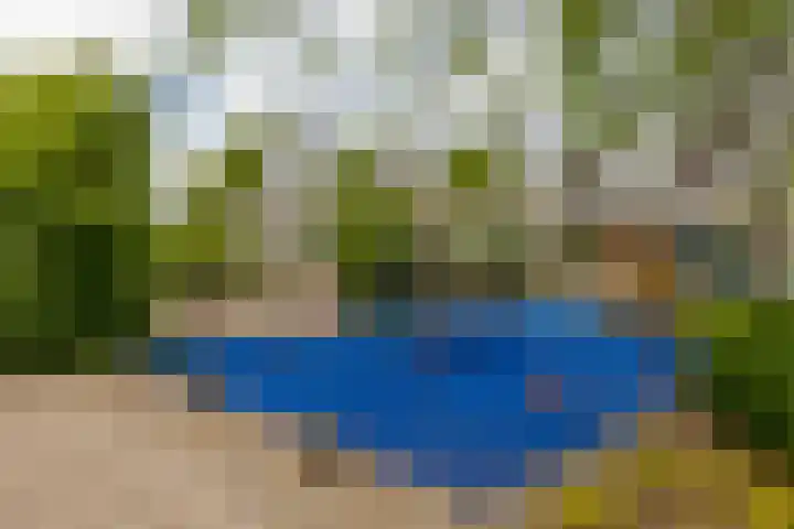 Zaagmolen 46 Capelle aan den IJssel thumbnail 47