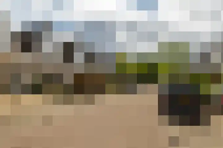 Zaagmolen 46 Capelle aan den IJssel thumbnail 5