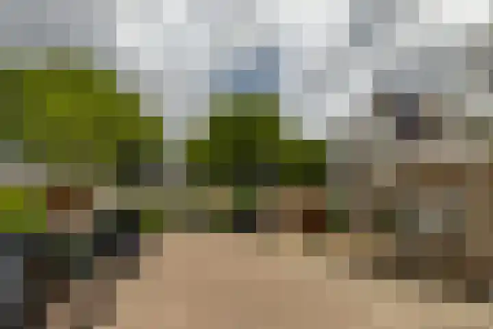 Zaagmolen 46 Capelle aan den IJssel thumbnail 6