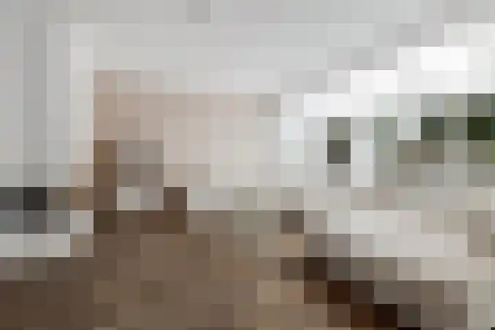 Zaagmolen 6 Capelle aan den IJssel thumbnail 10