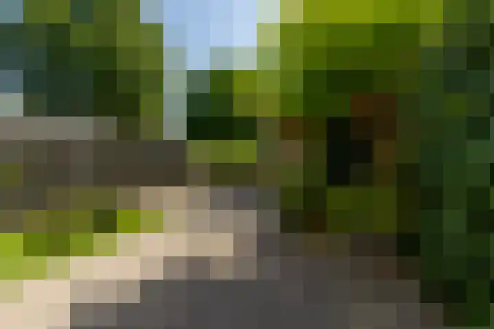 Zaagmolen 6 Capelle aan den IJssel thumbnail 12