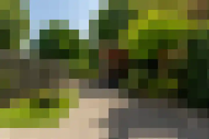 Zaagmolen 6 Capelle aan den IJssel thumbnail 14