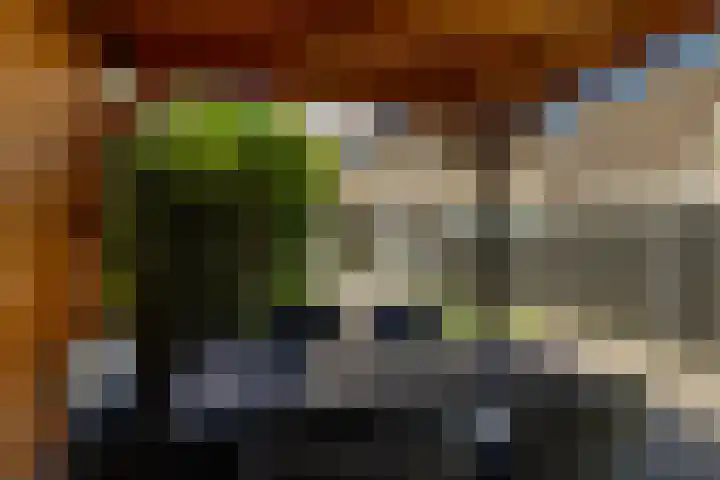 Zaagmolen 6 Capelle aan den IJssel thumbnail 16