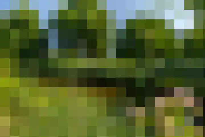Zaagmolen 6 Capelle aan den IJssel thumbnail 17