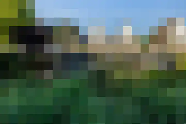 Zaagmolen 6 Capelle aan den IJssel thumbnail 18