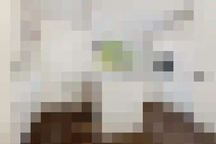 Zaagmolen 6 Capelle aan den IJssel thumbnail 23