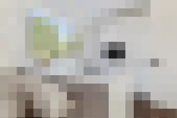Zaagmolen 6 Capelle aan den IJssel thumbnail 24