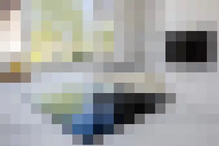 Zaagmolen 6 Capelle aan den IJssel thumbnail 25
