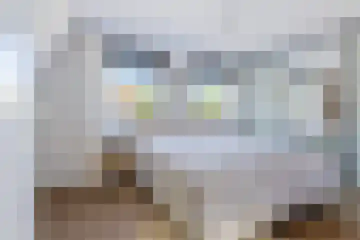Zaagmolen 6 Capelle aan den IJssel thumbnail 35