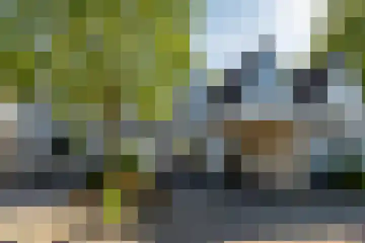 Zaagmolen 6 Capelle aan den IJssel thumbnail 49