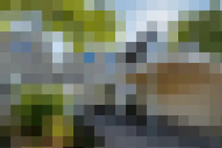 Zaagmolen 6 Capelle aan den IJssel thumbnail 5