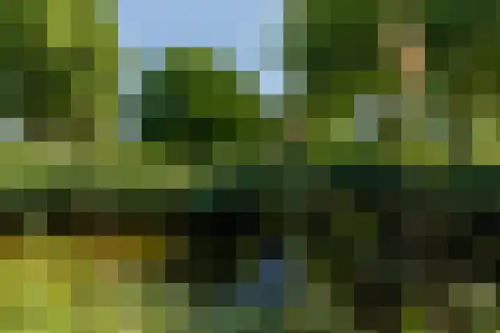 Zaagmolen 6 Capelle aan den IJssel thumbnail 51