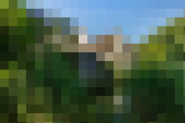 Zaagmolen 6 Capelle aan den IJssel thumbnail 53