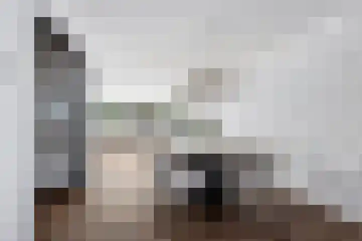 Zaagmolen 6 Capelle aan den IJssel thumbnail 7
