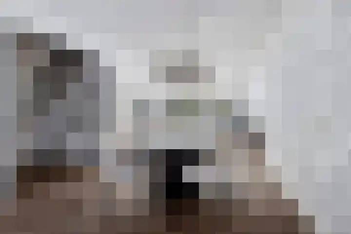 Zaagmolen 6 Capelle aan den IJssel thumbnail 8