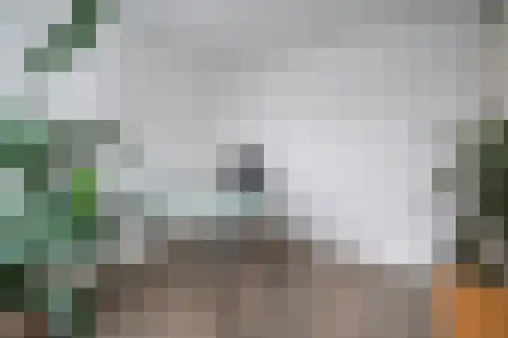Zaagmolen 9 Schijndel thumbnail 20