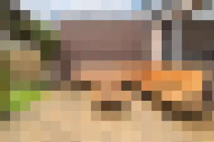 Zaagmolen 9 Schijndel thumbnail 30