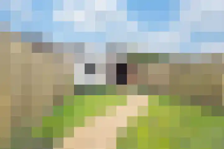 Zaagmolen 9 Schijndel thumbnail 31