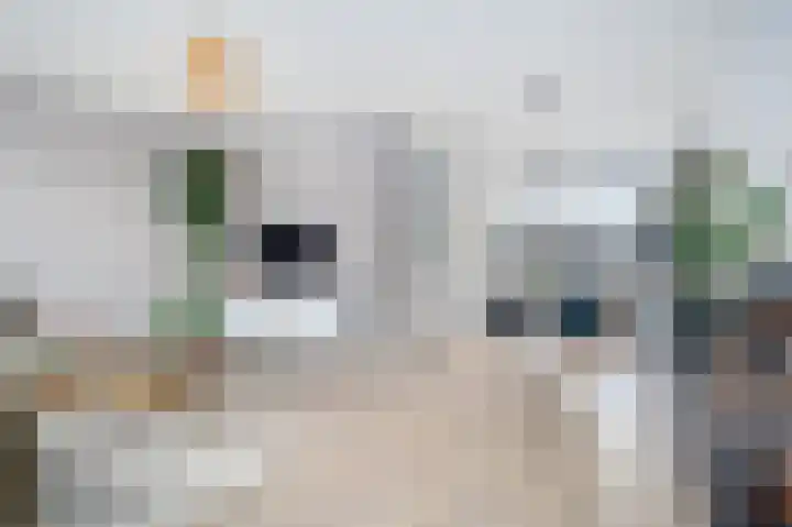Zaagmolen 9 Schijndel thumbnail 5